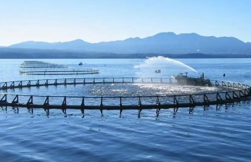 Dari Sungai ke Kerja Air: Peranan Utama Penderia Kualiti Air dalam Pengurusan Air Pintar